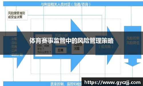 体育赛事监管中的风险管理策略
